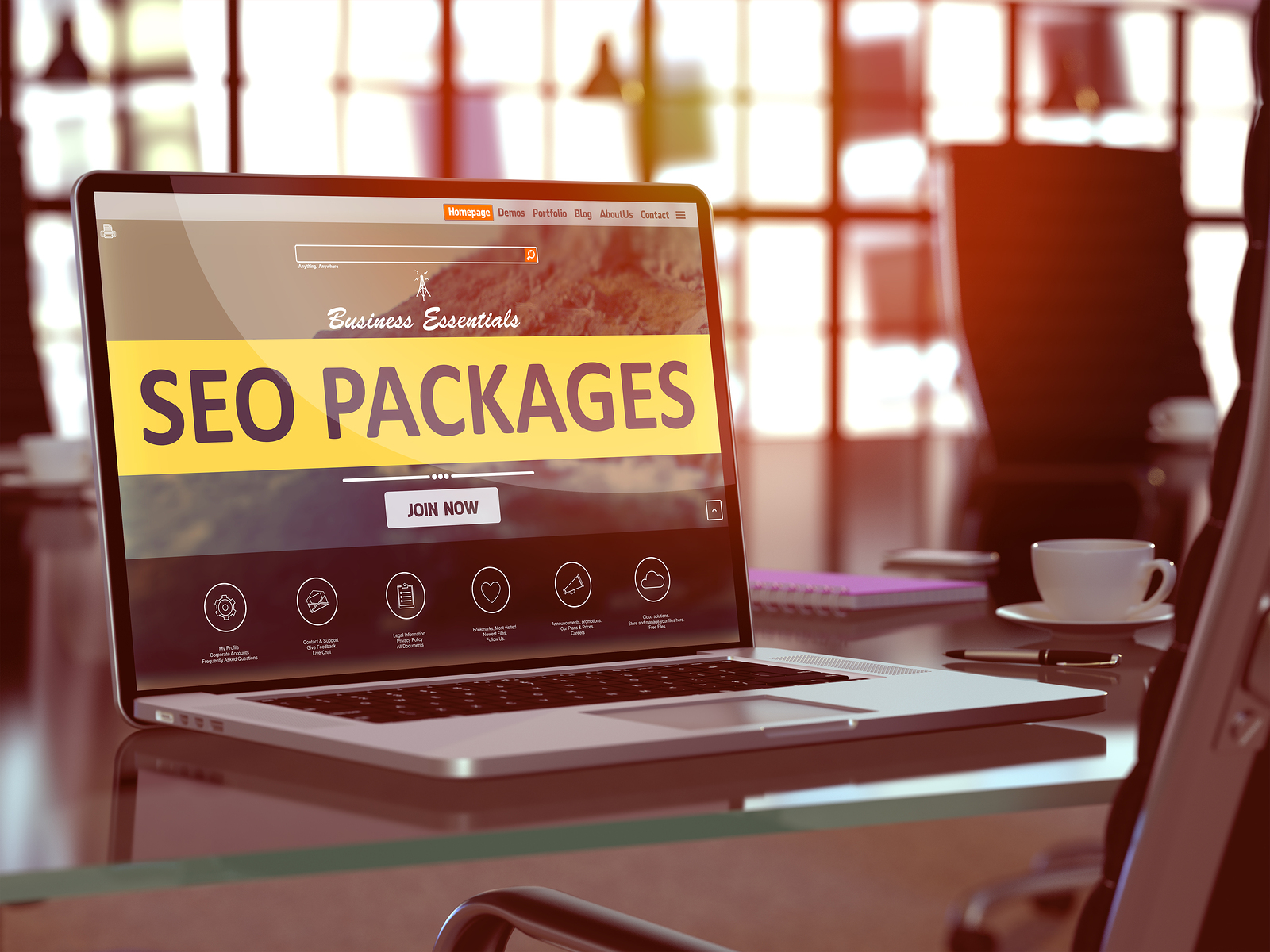 SEO Packages